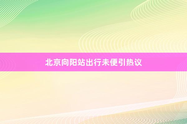 北京向阳站出行未便引热议