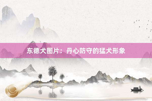 东德犬图片：丹心防守的猛犬形象